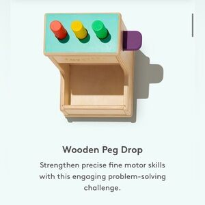 • Lovevery • Kids Montessori Toys Part of the Thinker Play Kit Wooden Peg Drop
